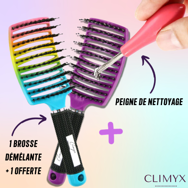 Peigne Nettoyeur de Brosse à Cheveux