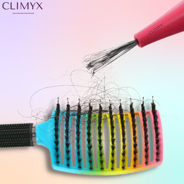 Peigne Nettoyeur de Brosse à Cheveux