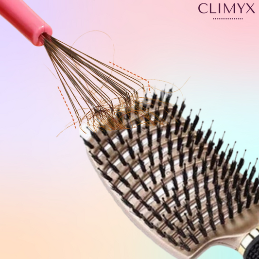 Peigne Nettoyeur de Brosse à Cheveux