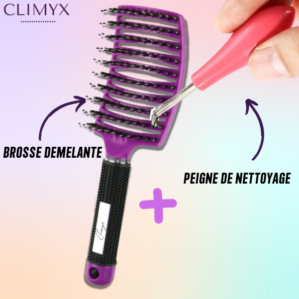 Peigne Nettoyeur de Brosse à Cheveux