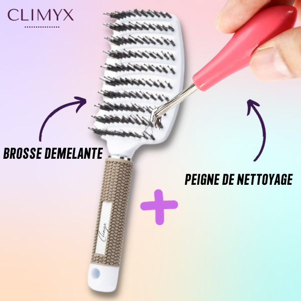 Peigne Nettoyeur de Brosse à Cheveux