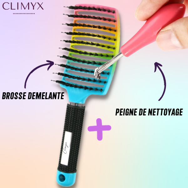 Peigne Nettoyeur de Brosse à Cheveux
