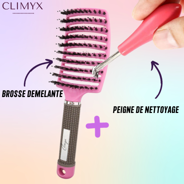 Peigne Nettoyeur de Brosse à Cheveux
