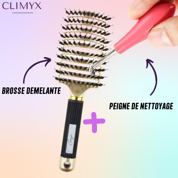 Peigne Nettoyeur de Brosse à Cheveux