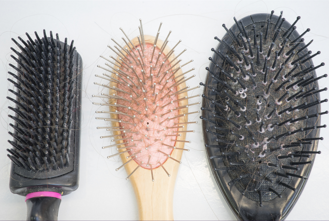 Pourquoi c'est indispensable de changer sa brosse à cheveux régulièrement? 5 points pour mieux comprendre